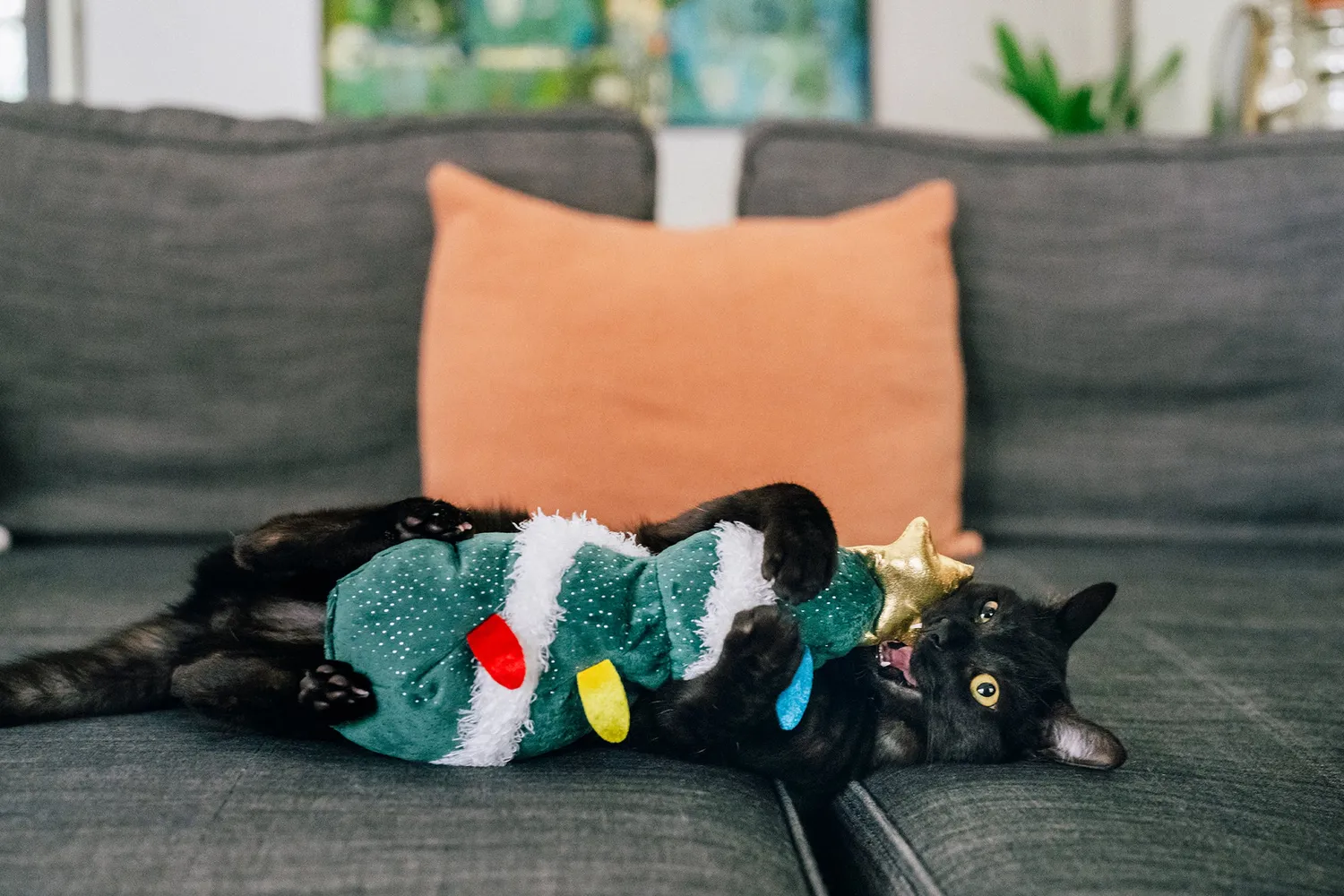 P.L.A.Y. Feline Frenzy O Christmas Tree kattleksak kattmynta