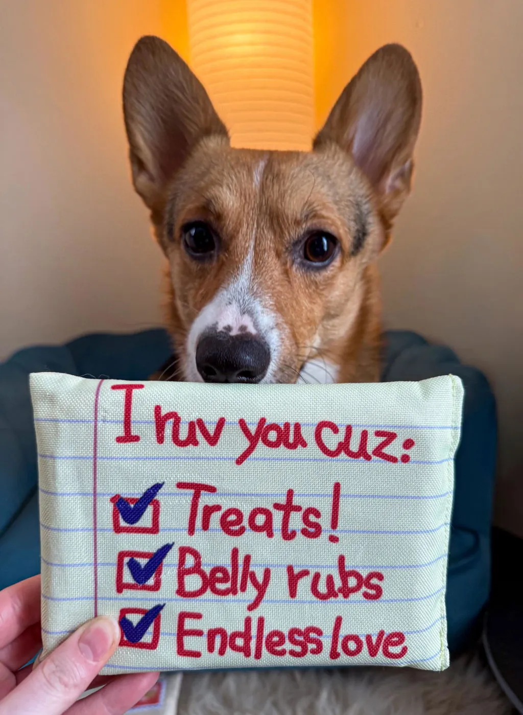 P.L.A.Y. Love Bug Ruv Letter hundleksak brev med pip
