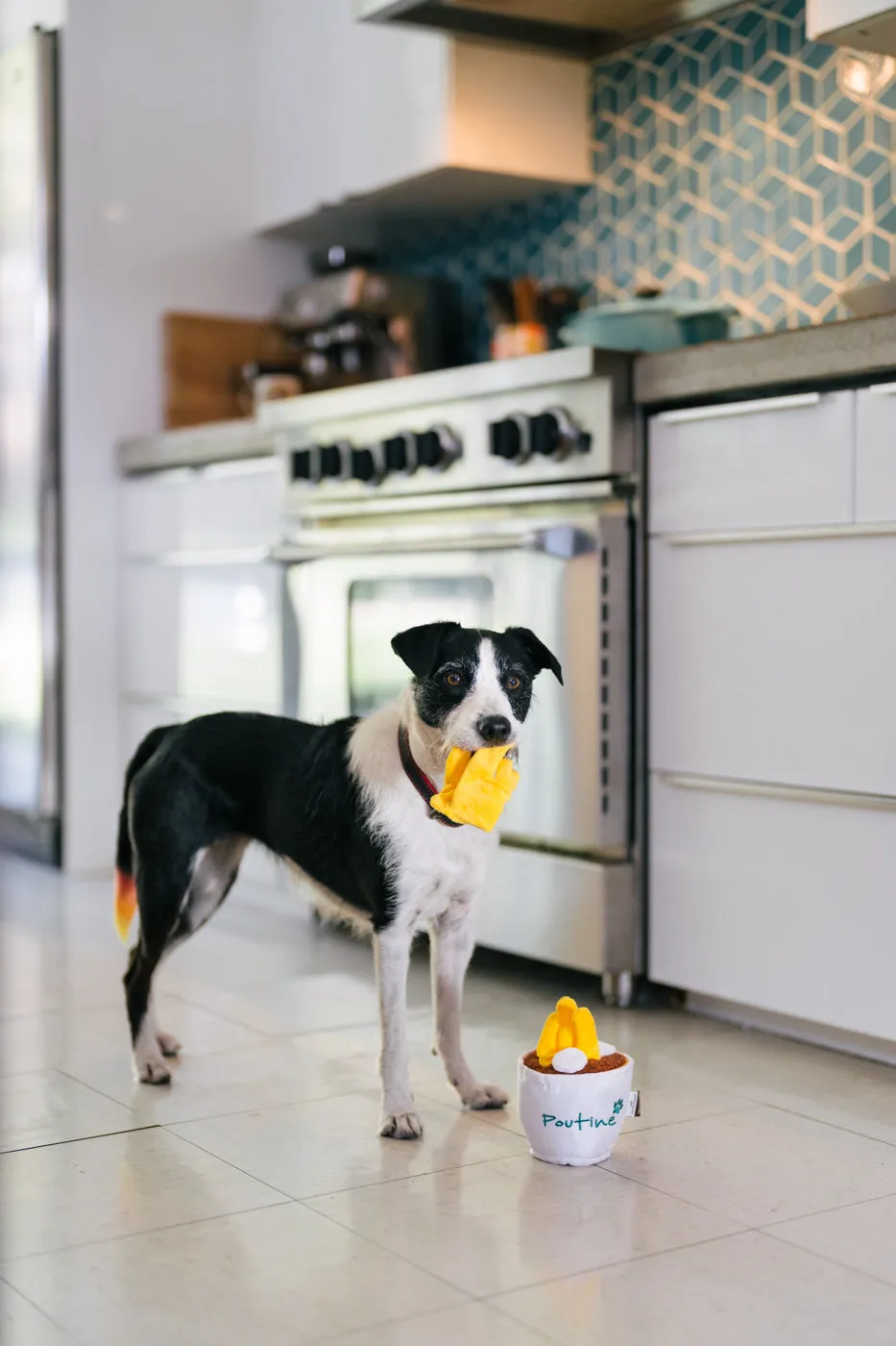P.L.A.Y. Pooch-tine mjukisleksak flerfärgad löstagbara pommes