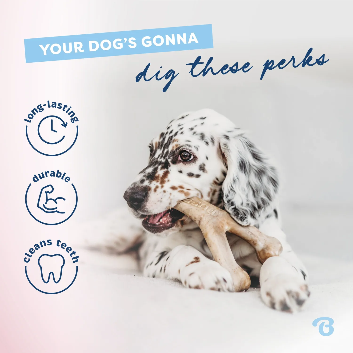 Benebone Puppy Wishbone valptugg bacon