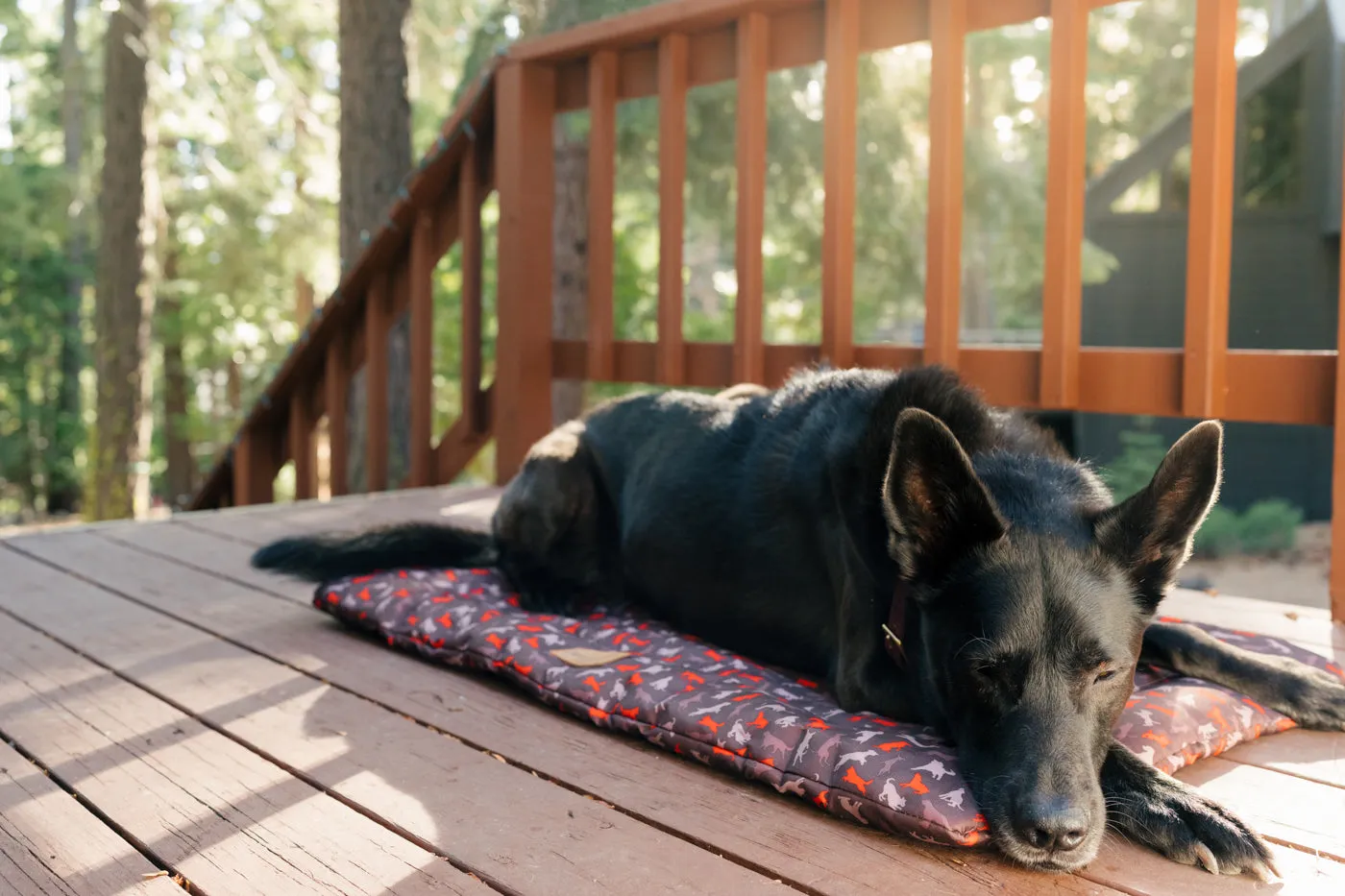 P.L.A.Y. Outdoor Chill Pad hundmatta vattenavvisande