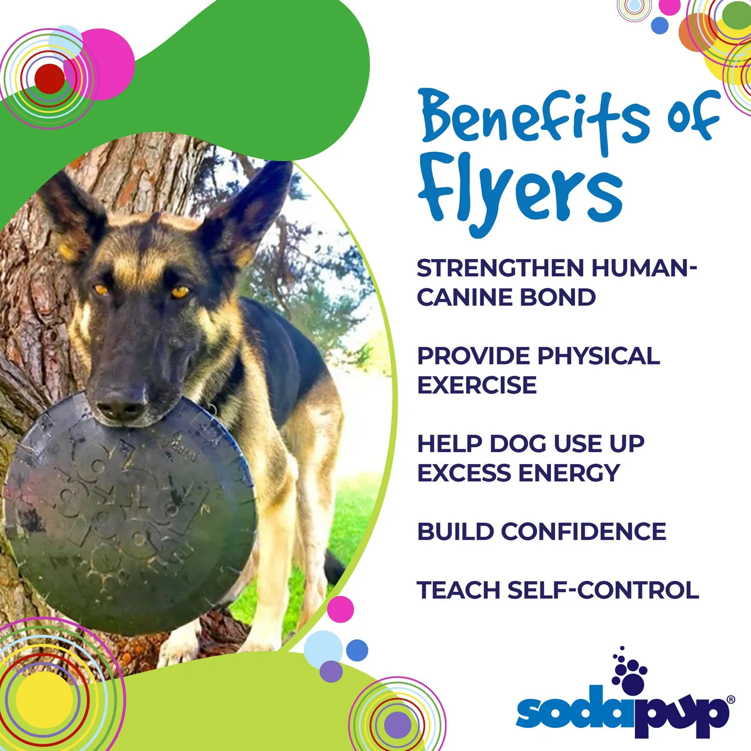 SodaPup Magnum Bottle Top Flyer frisbee large svart