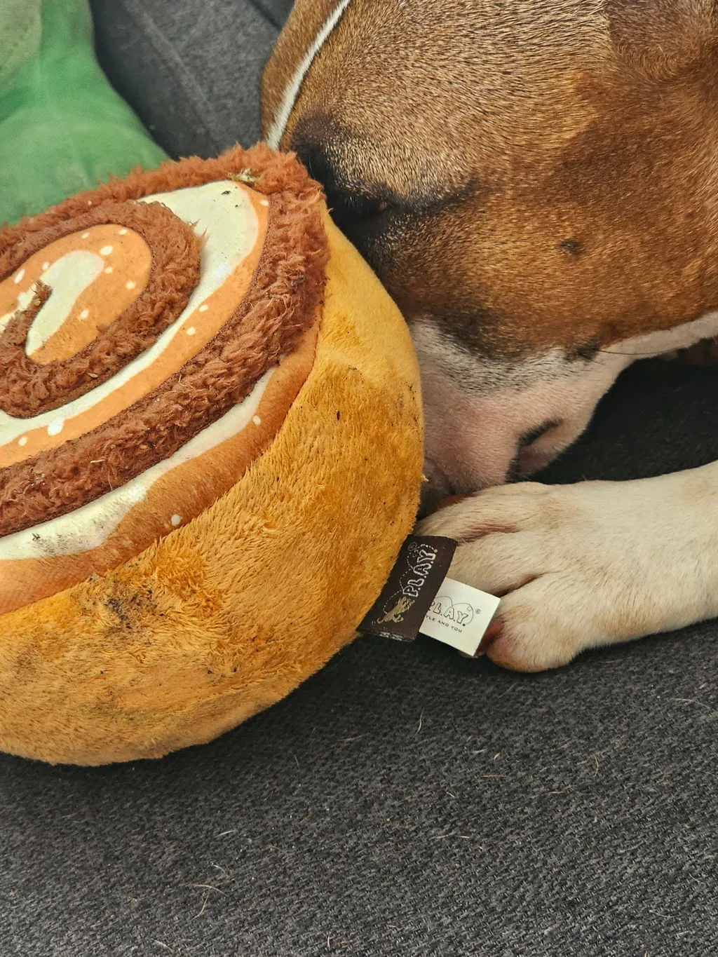 P.L.A.Y. Pup Cup Café Doggo's Java hundleksak med pip
