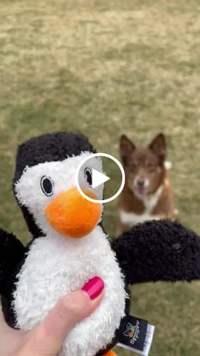 Spunky Pup Furry Friends hundgosedjur uggla med pip