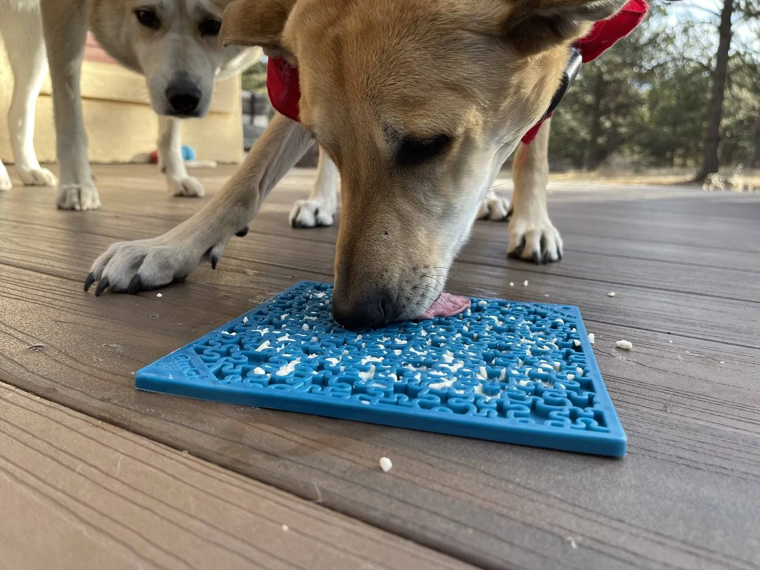 SodaPup Jigsaw slickmatta hund blå lugnande