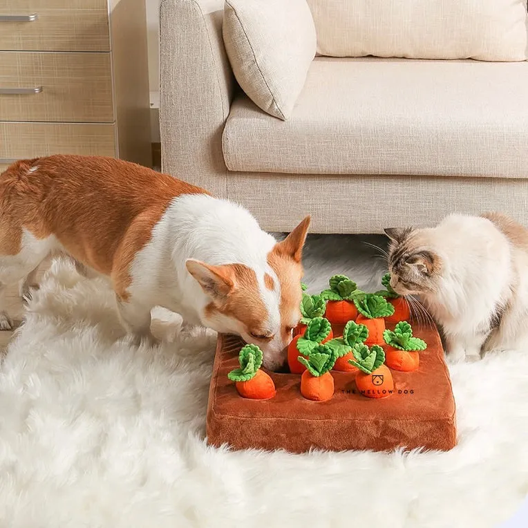 Pawtato Carrot Patch nosaktivering morotsland hundleksak dragkamp
