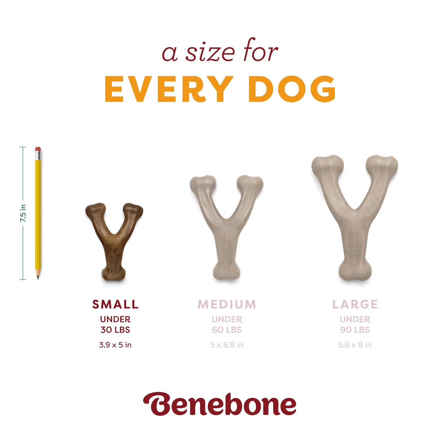 Benebone Pumpkin Spice Wishbone tuggben small pumpakrydda