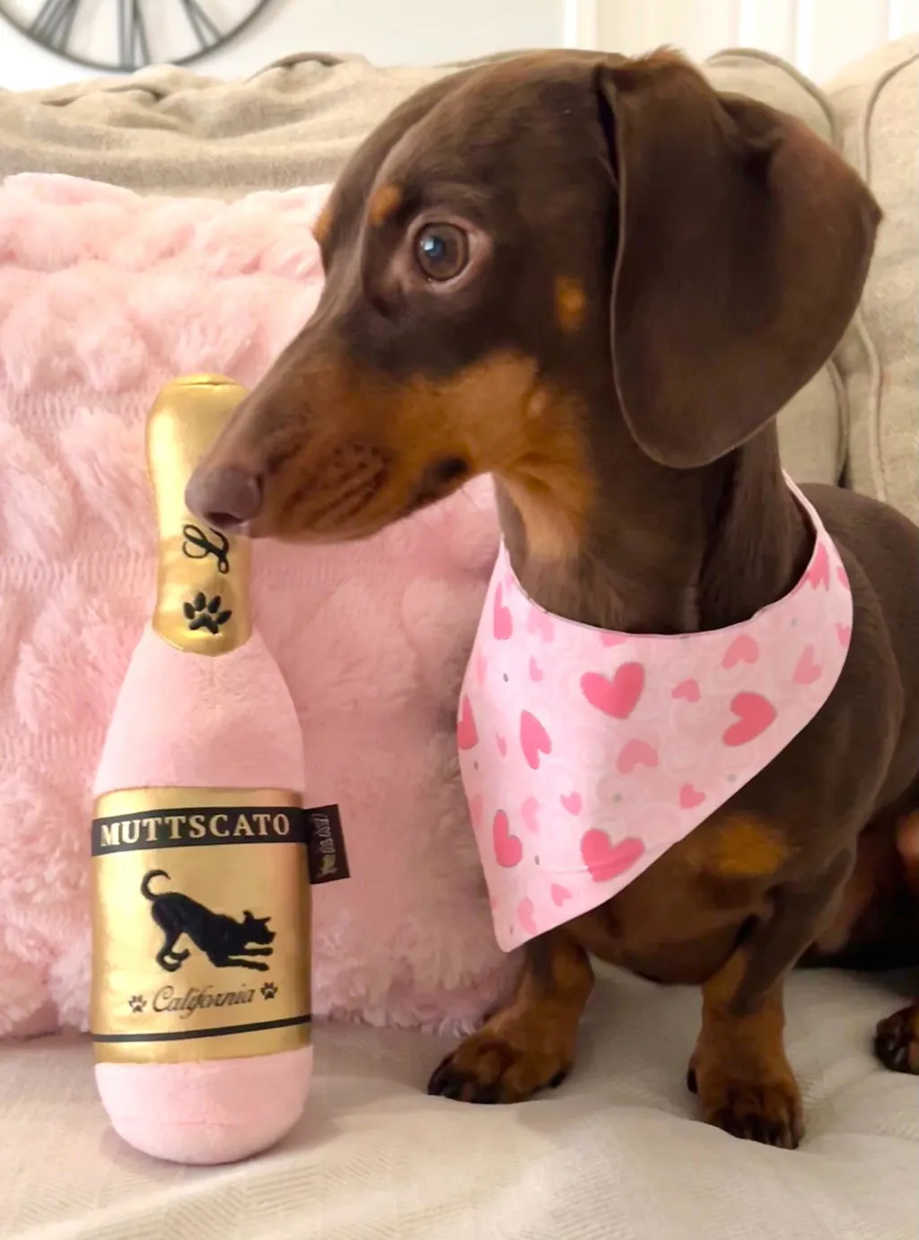 P.L.A.Y. Puppy Love Barking Bubbly hundleksak med pip