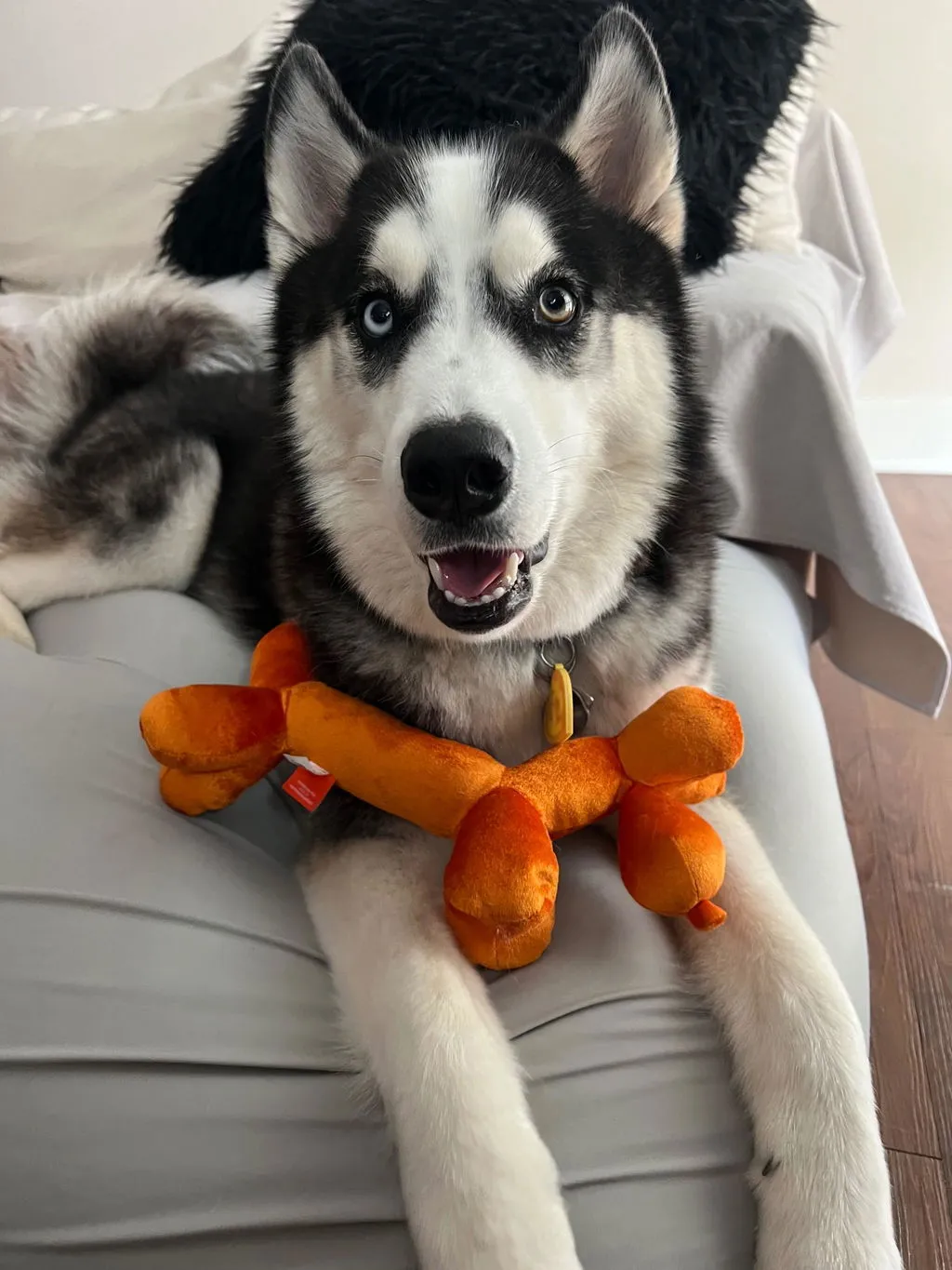 P.L.A.Y. Party Animal Balloon Buddy mjukisleksak orange