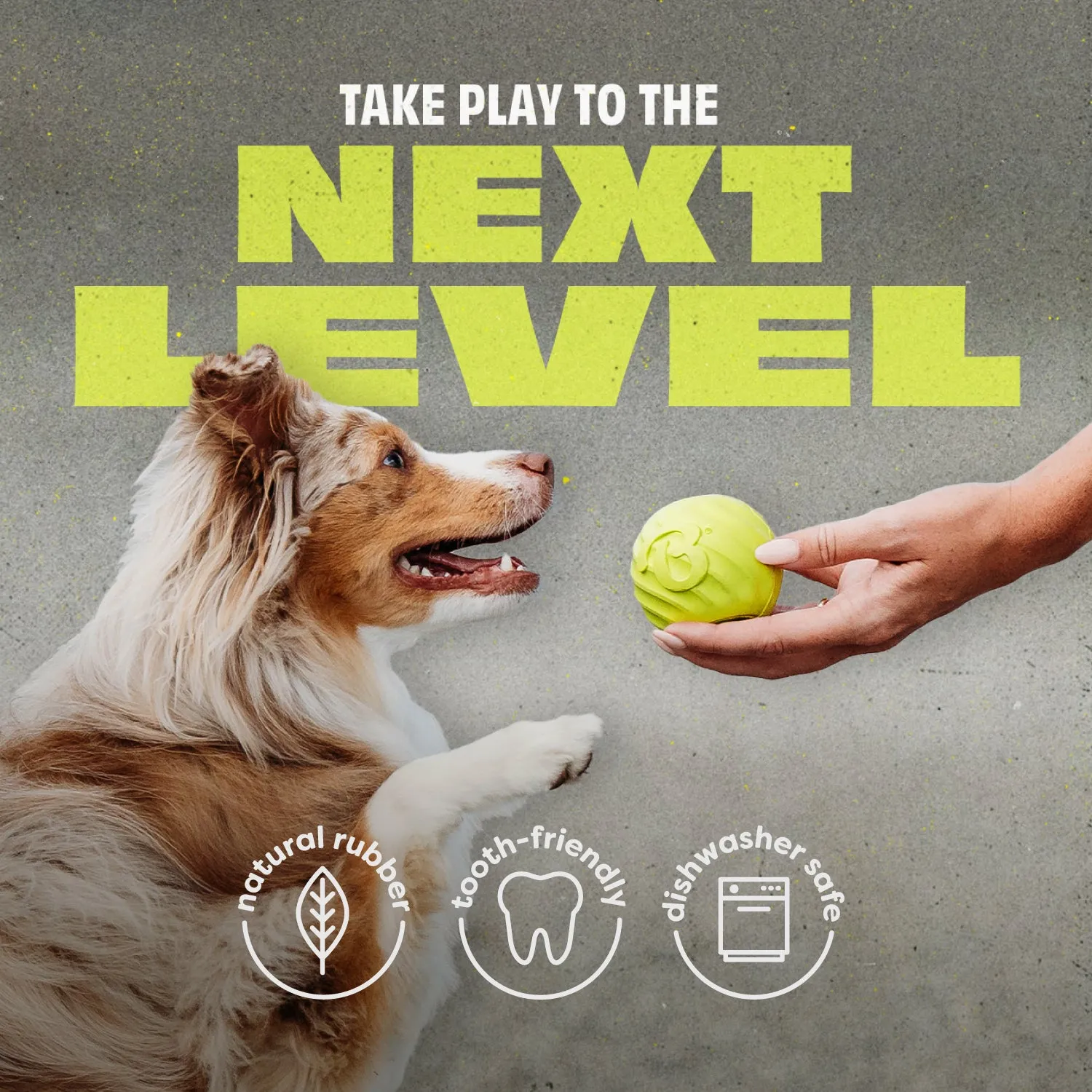 Benebone Chew & Fetch Duo tuggset 2-pack medium