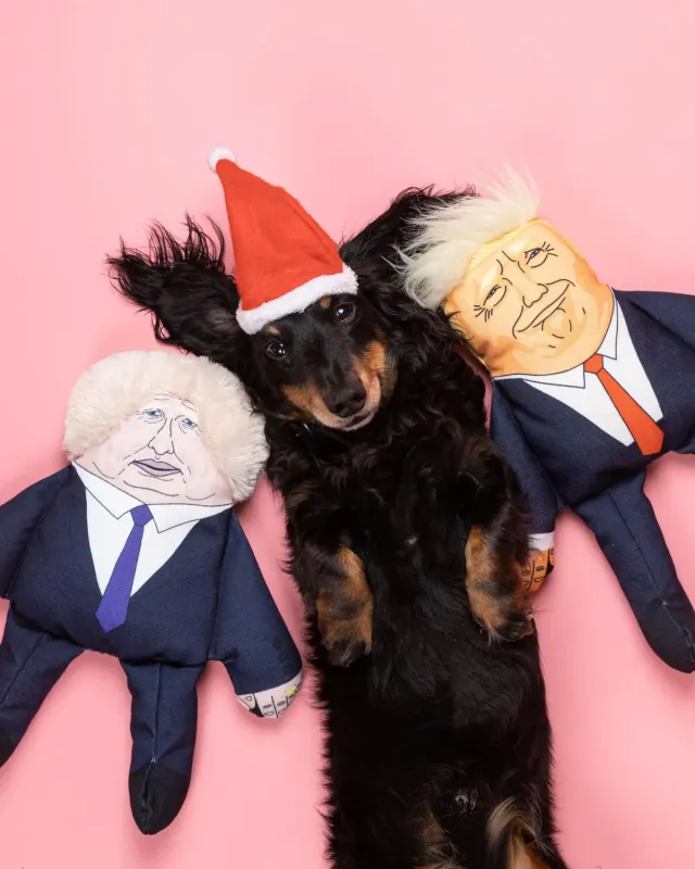 Pet Hates Toys Boris Donald leksaksset pip kattmynta