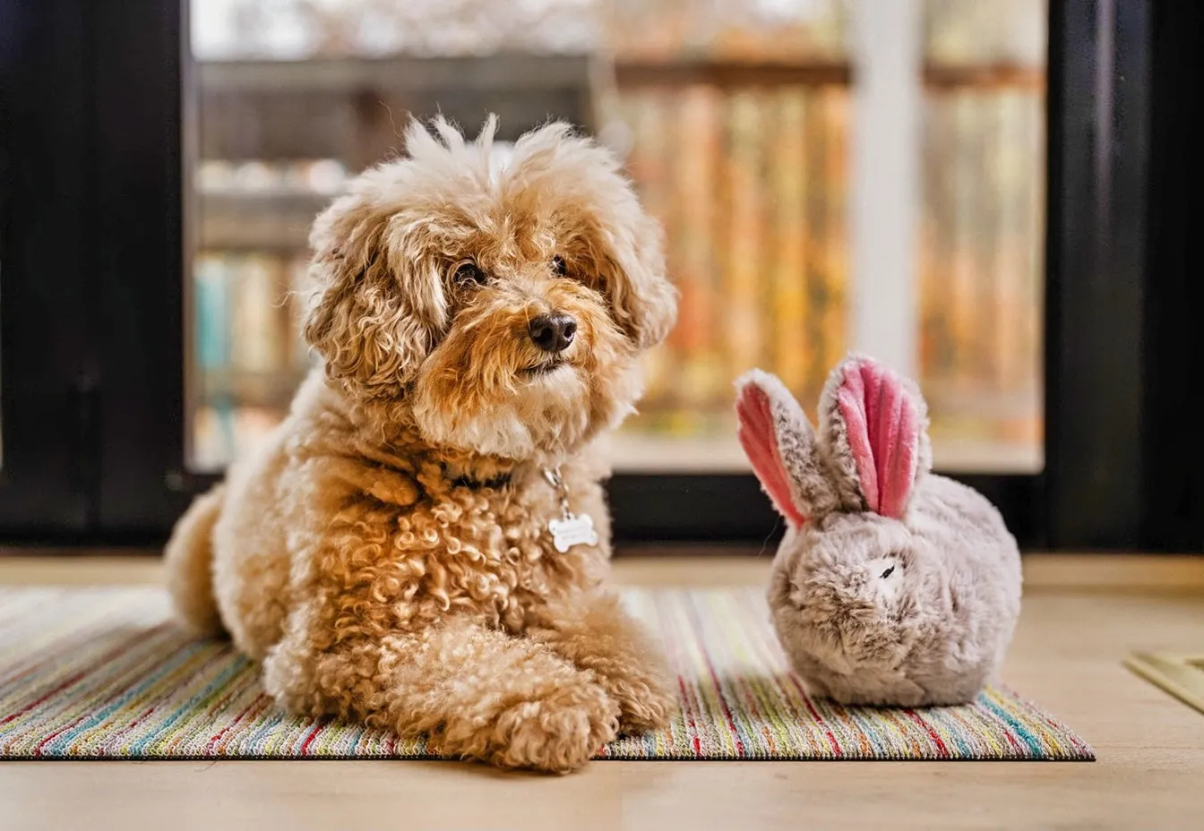 P.L.A.Y. Forest Friends Baxter the Bunny hundleksak grå med pip