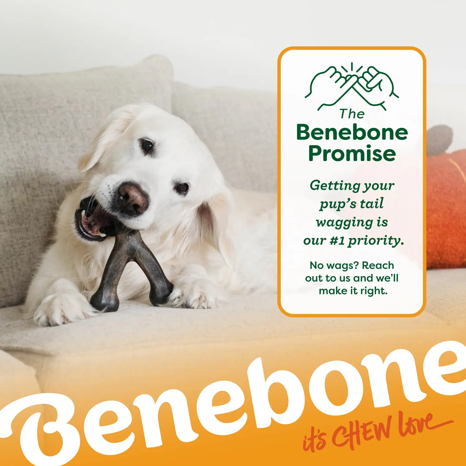 Benebone Pumpkin Spice Wishbone tuggben small pumpakrydda