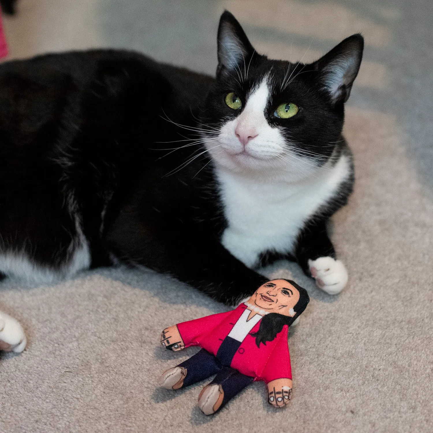 Pet Hates Toys Priti Pawtel kattleksak med kattmynta
