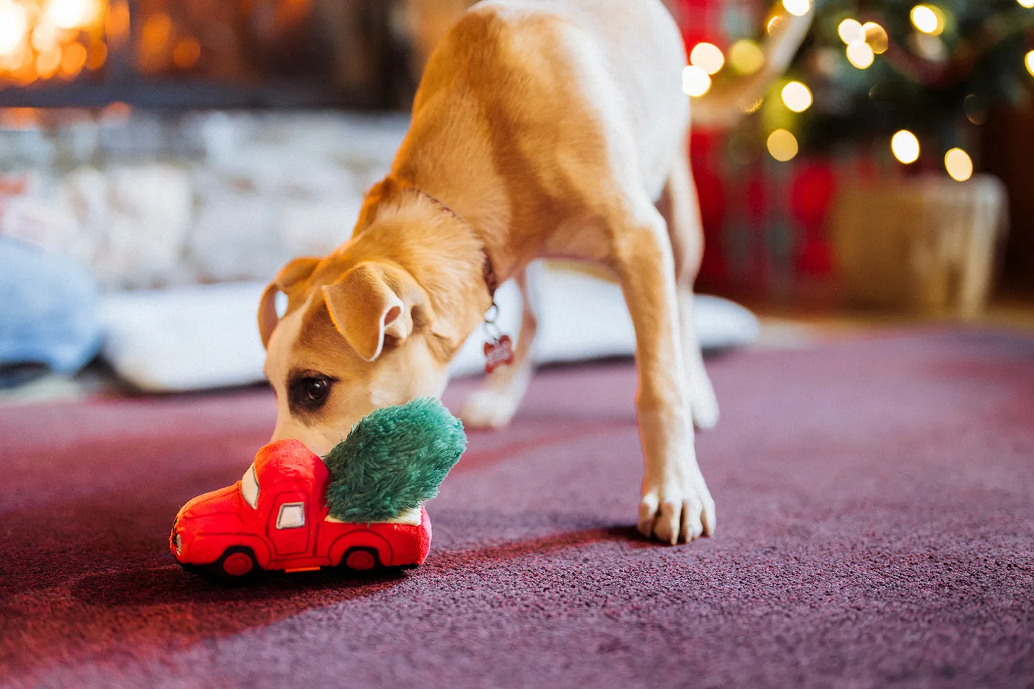 P.L.A.Y. Merry Minis Holiday Hauler hundleksak bil