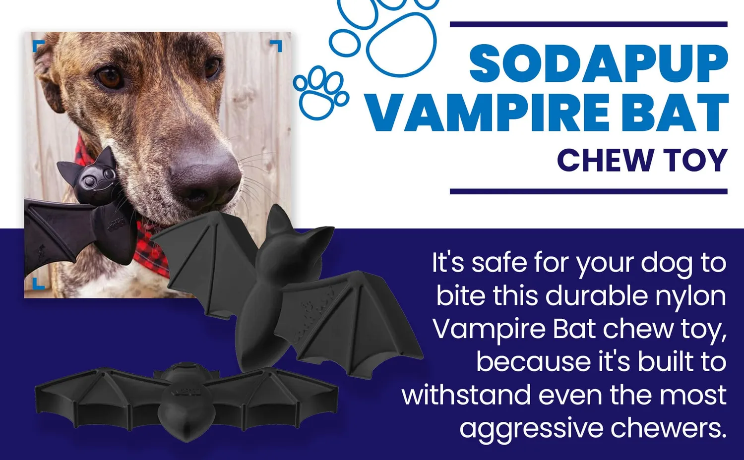 SodaPup Vampire Bat Nylon tuggleksak large svart slickmatta