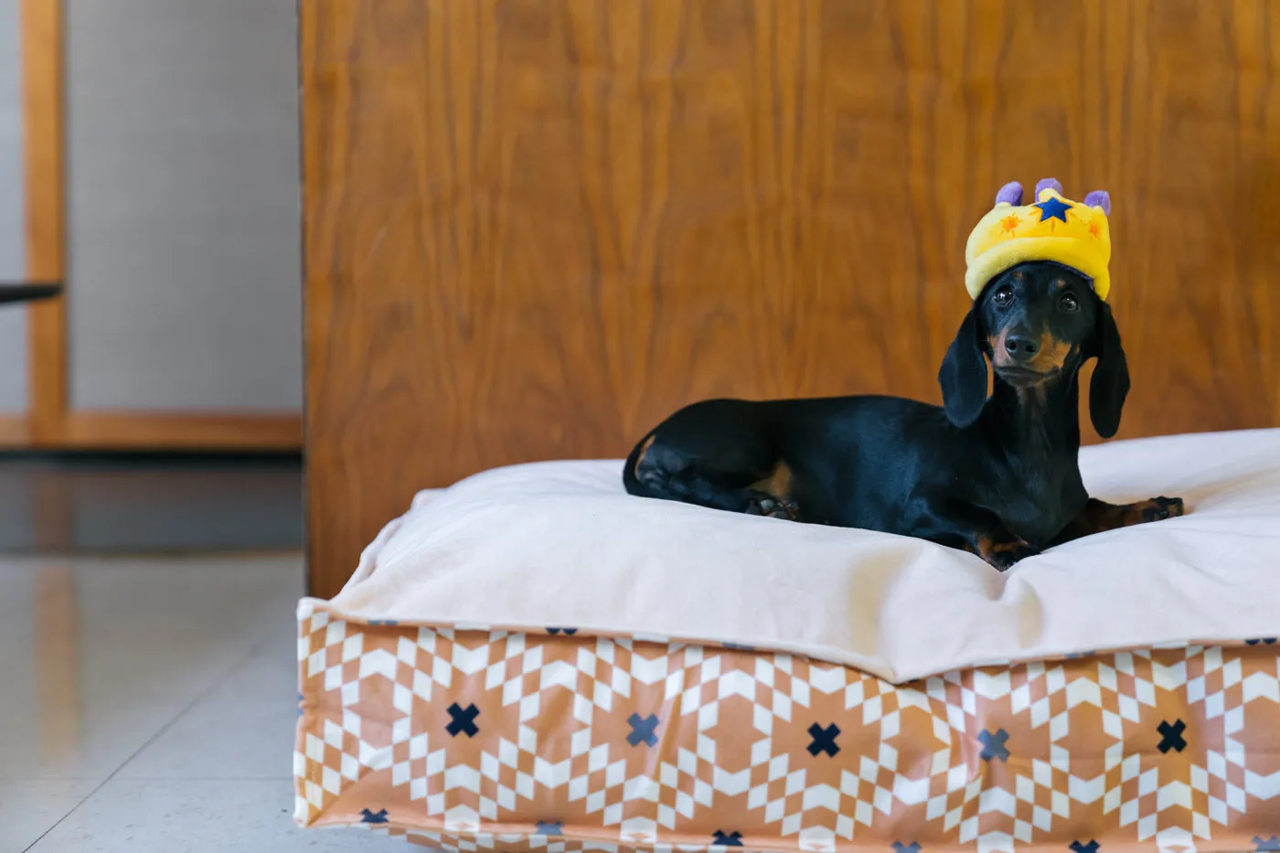 P.L.A.Y. Party Time Canine Crown hundleksak mini gul med pip