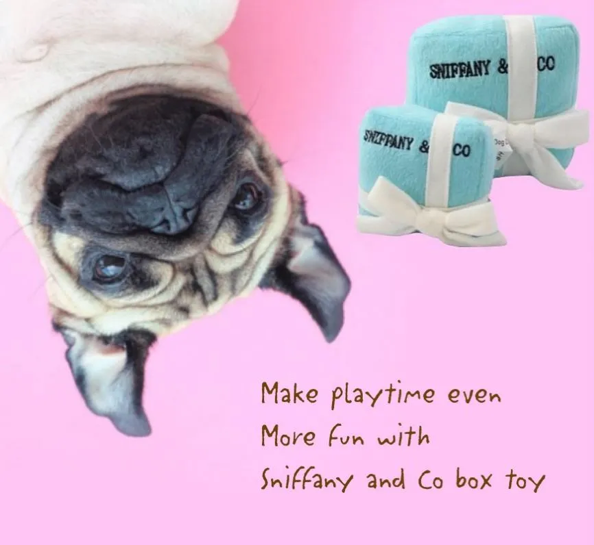 Dog Diggin Designs Sniffany Gift Box hundleksak petite