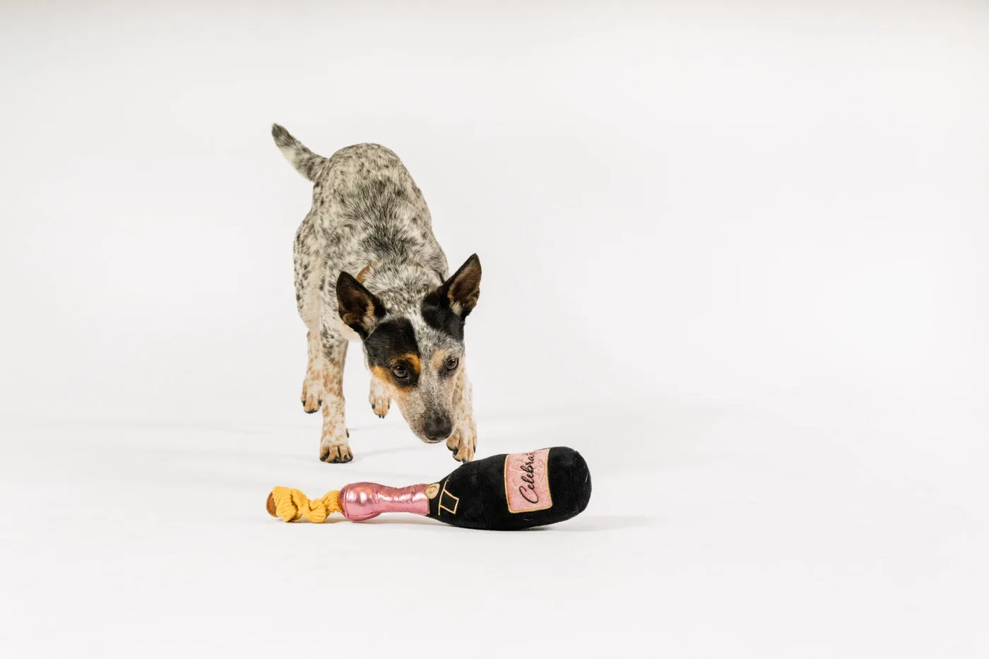 P.L.A.Y. Puppin' Champagne hundleksak med pip och dragsnöre