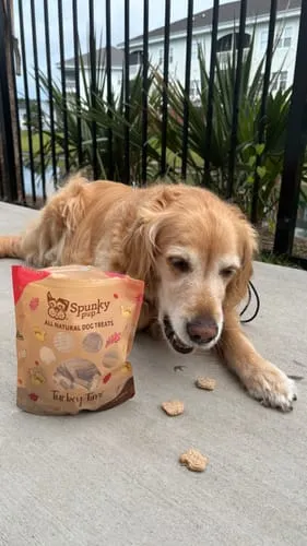 Spunky Pup All Natural Baked Biscuits hundkex Prime Rib 10 oz naturliga