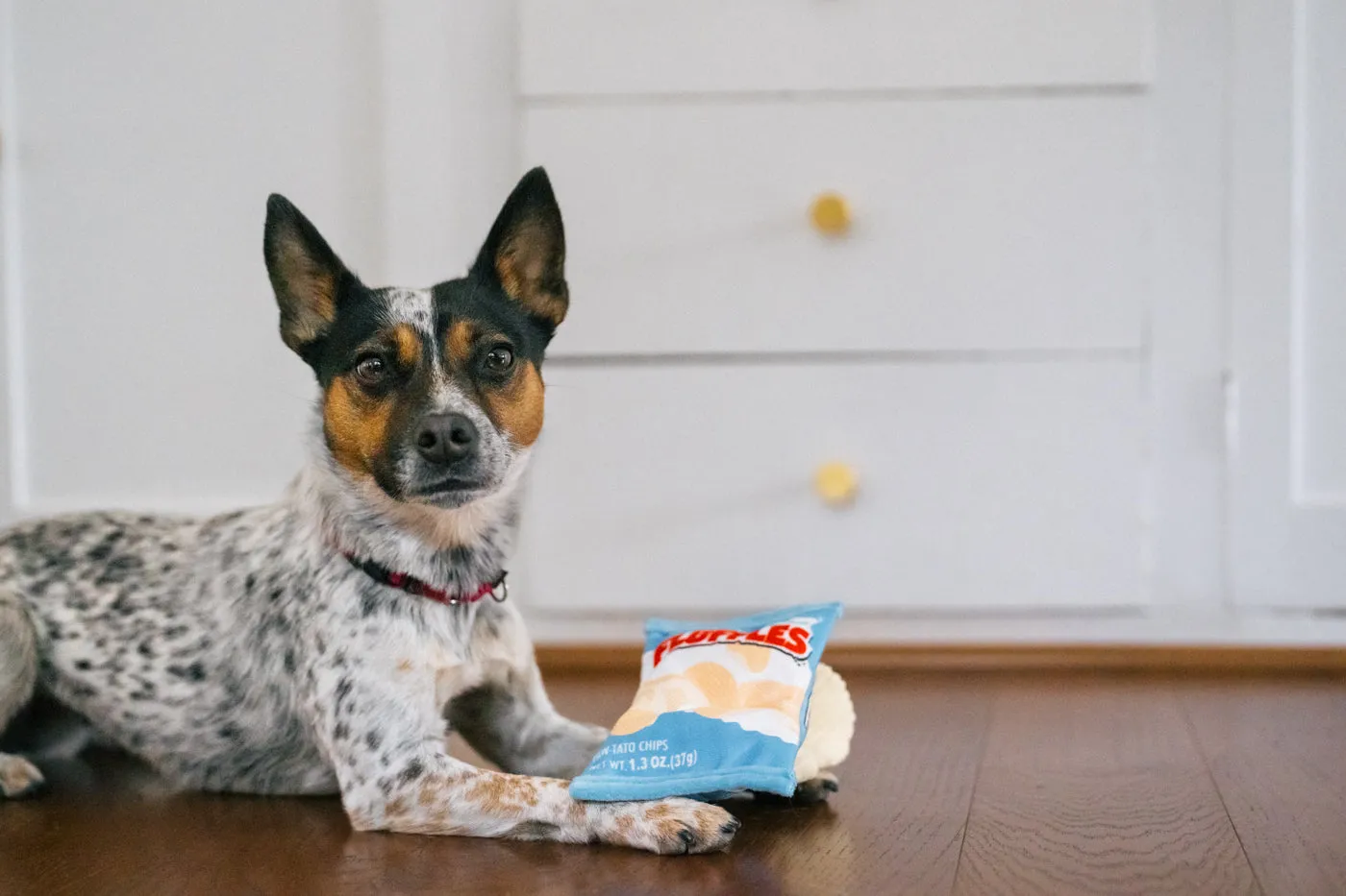 P.L.A.Y. Snack Attack Fluffles Chips hundleksak M med 3 pip