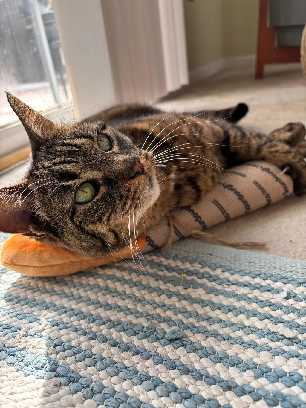 P.L.A.Y. Feline Frenzy Loaf Kicker kattleksak brun