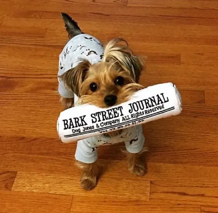 Dog Diggin Designs Bark Street Journal hundleksak tidning
