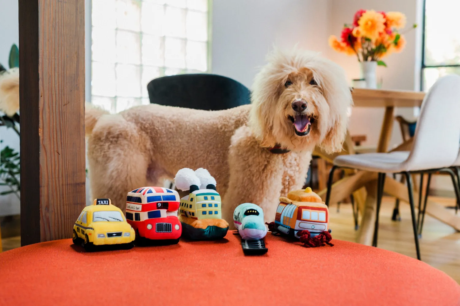 P.L.A.Y. Canine Commute plyschleksak set 5-pack