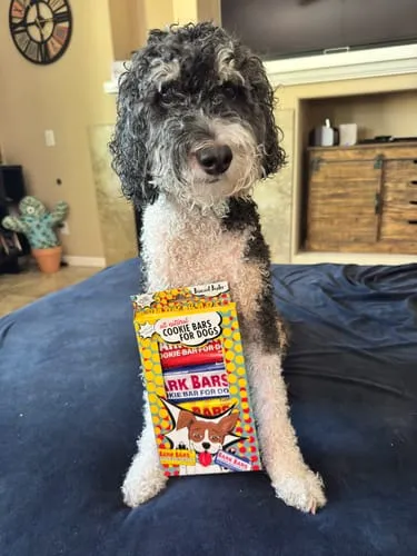 Spunky Pup Bark Bar hundgodis peanut butter singelbar