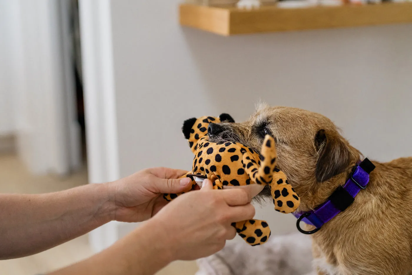 P.L.A.Y. Big Five of Africa Leopard hundleksak stor brun med pip