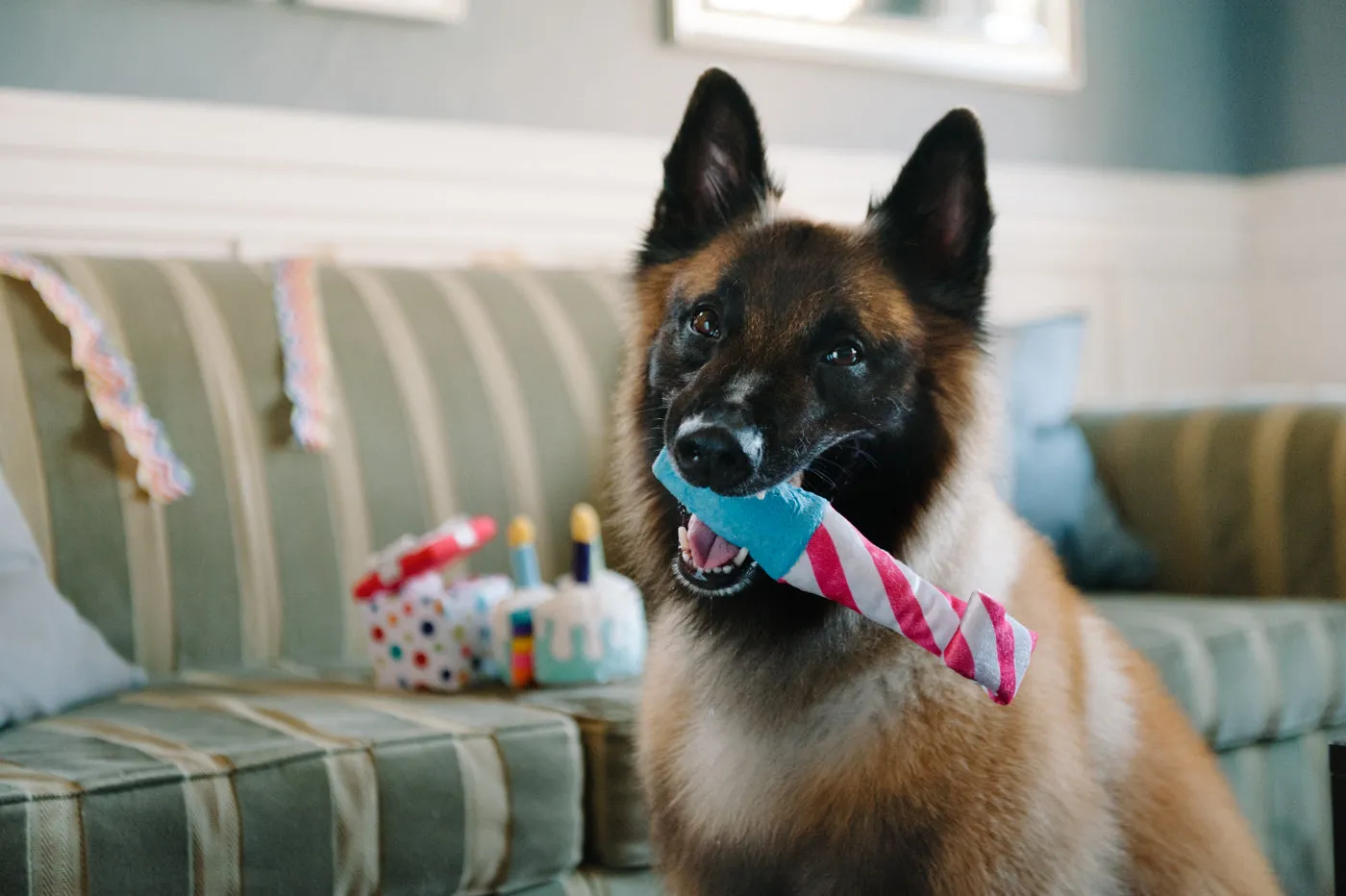 P.L.A.Y. Party Time Raise the Woof Party Horn hundleksak med pip