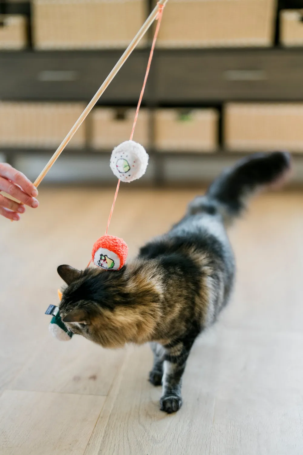 P.L.A.Y. Feline Frenzy Roll With It kattspö med kattmynta