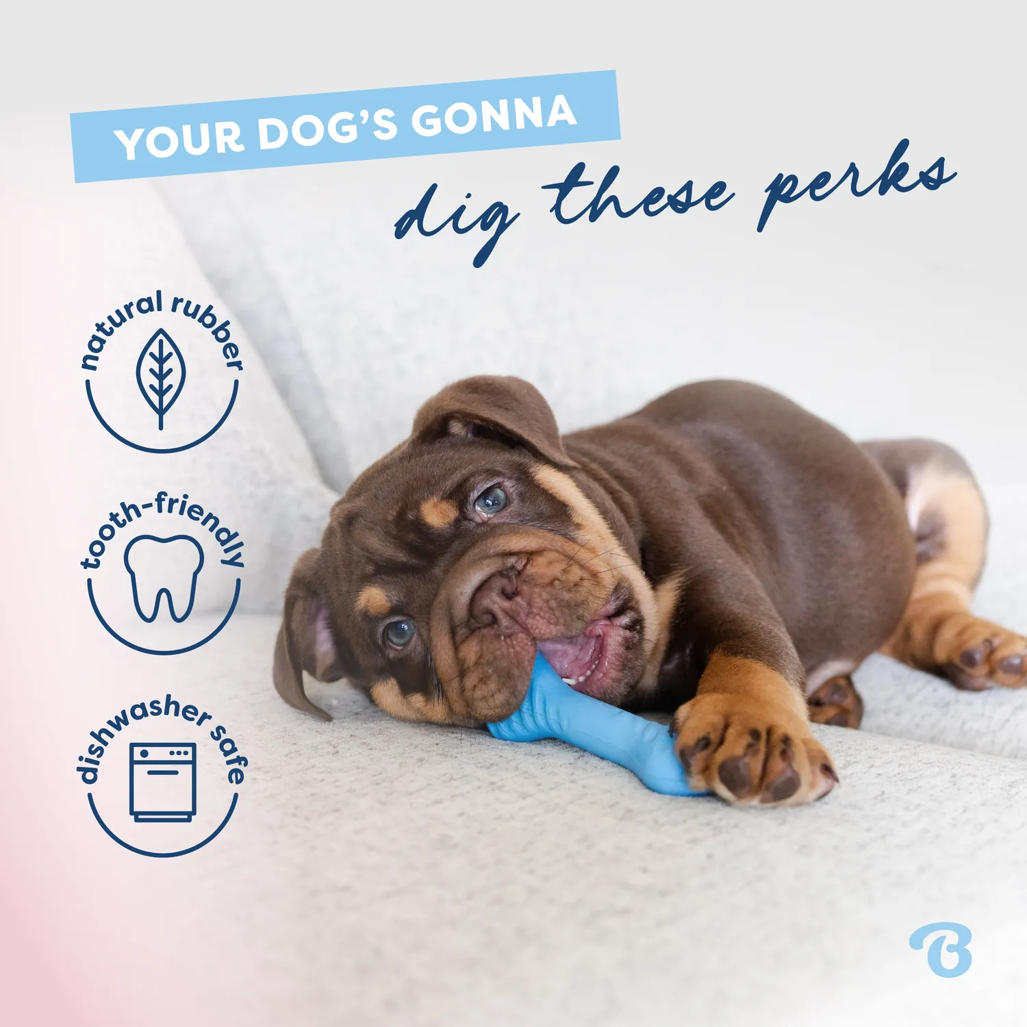 Benebone Puppy Bone tuggben tiny gummi