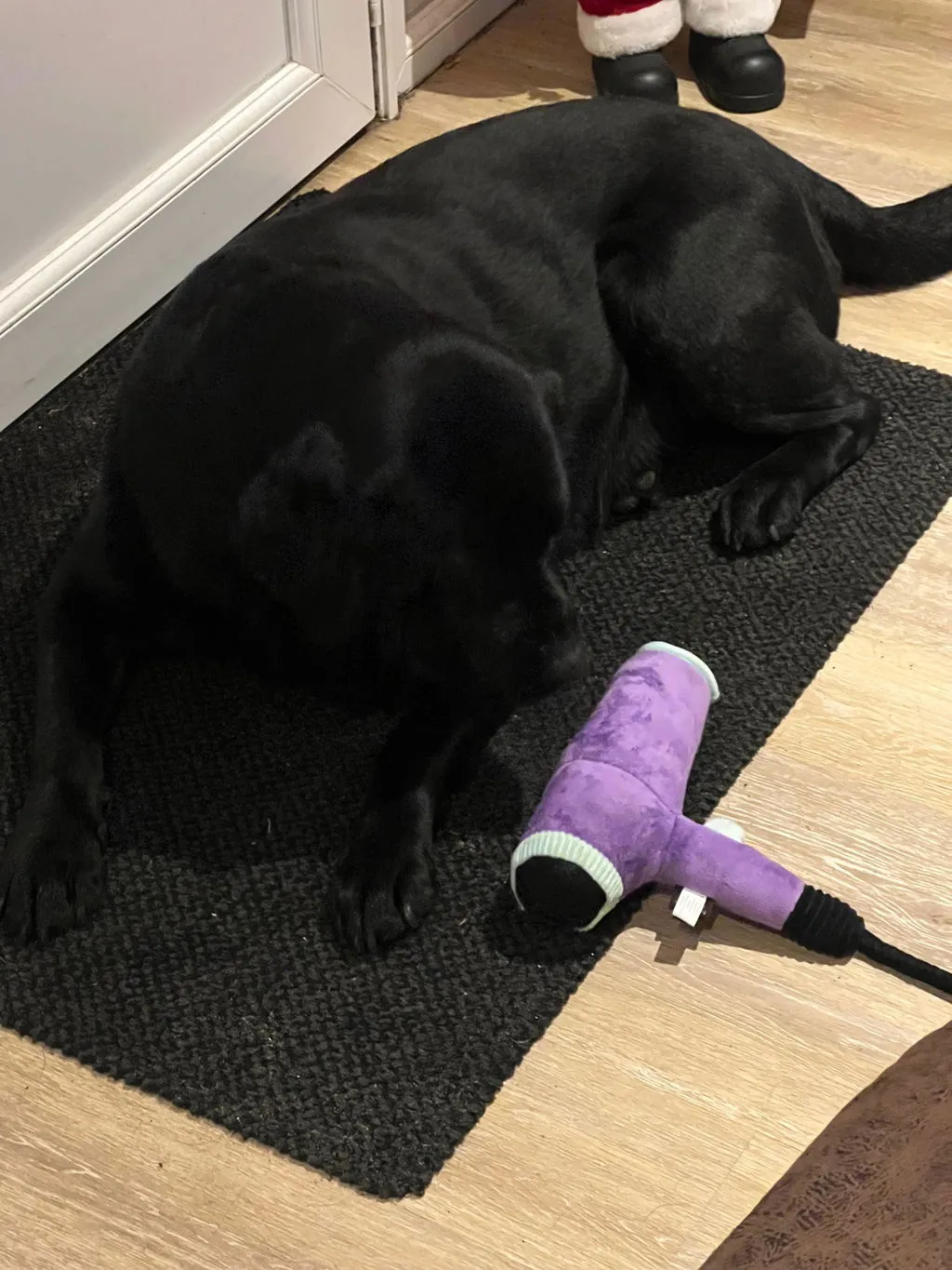 P.L.A.Y. Splish Splash Bark Bristles mjukisleksak med rep