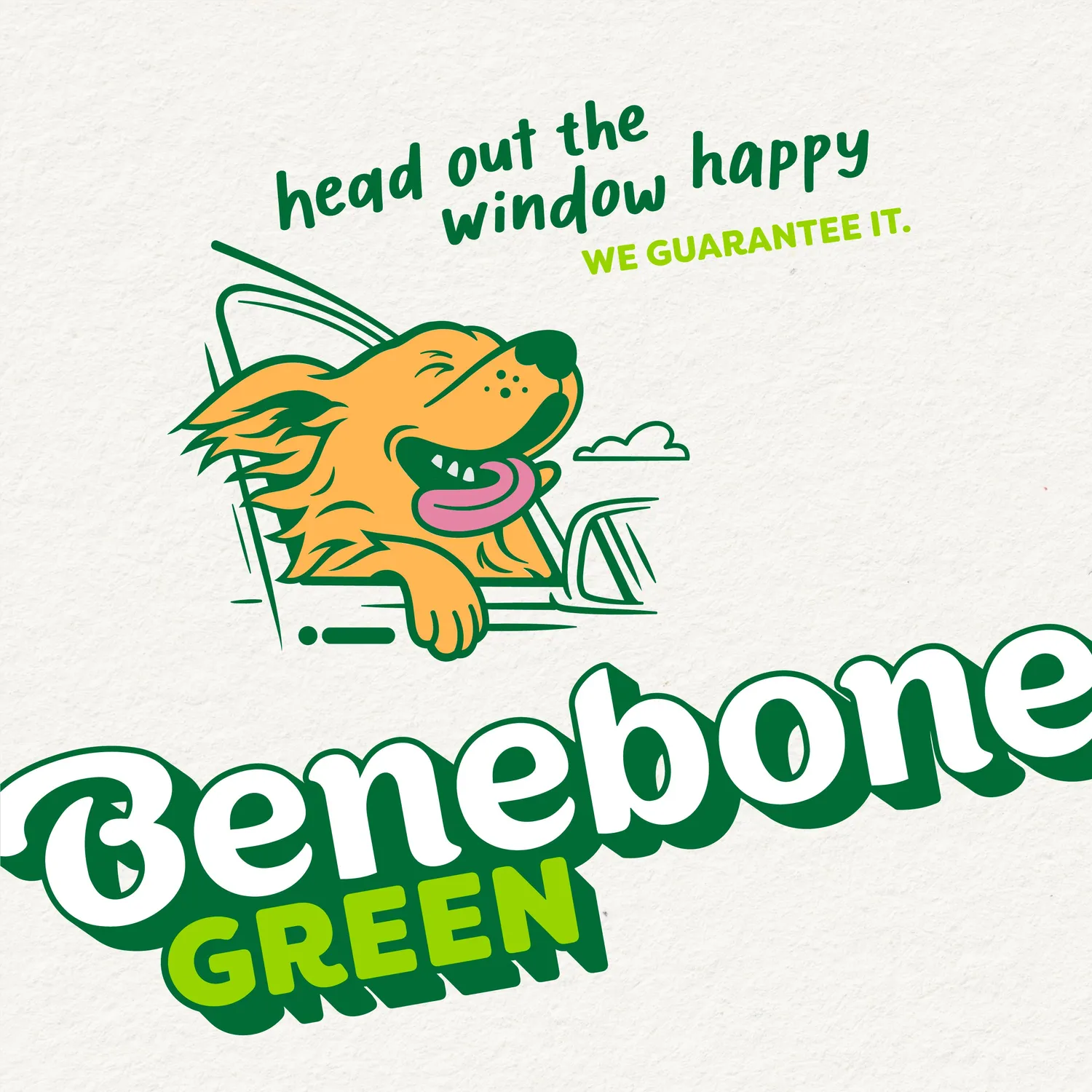 Benebone Green Fishbone tuggben lax