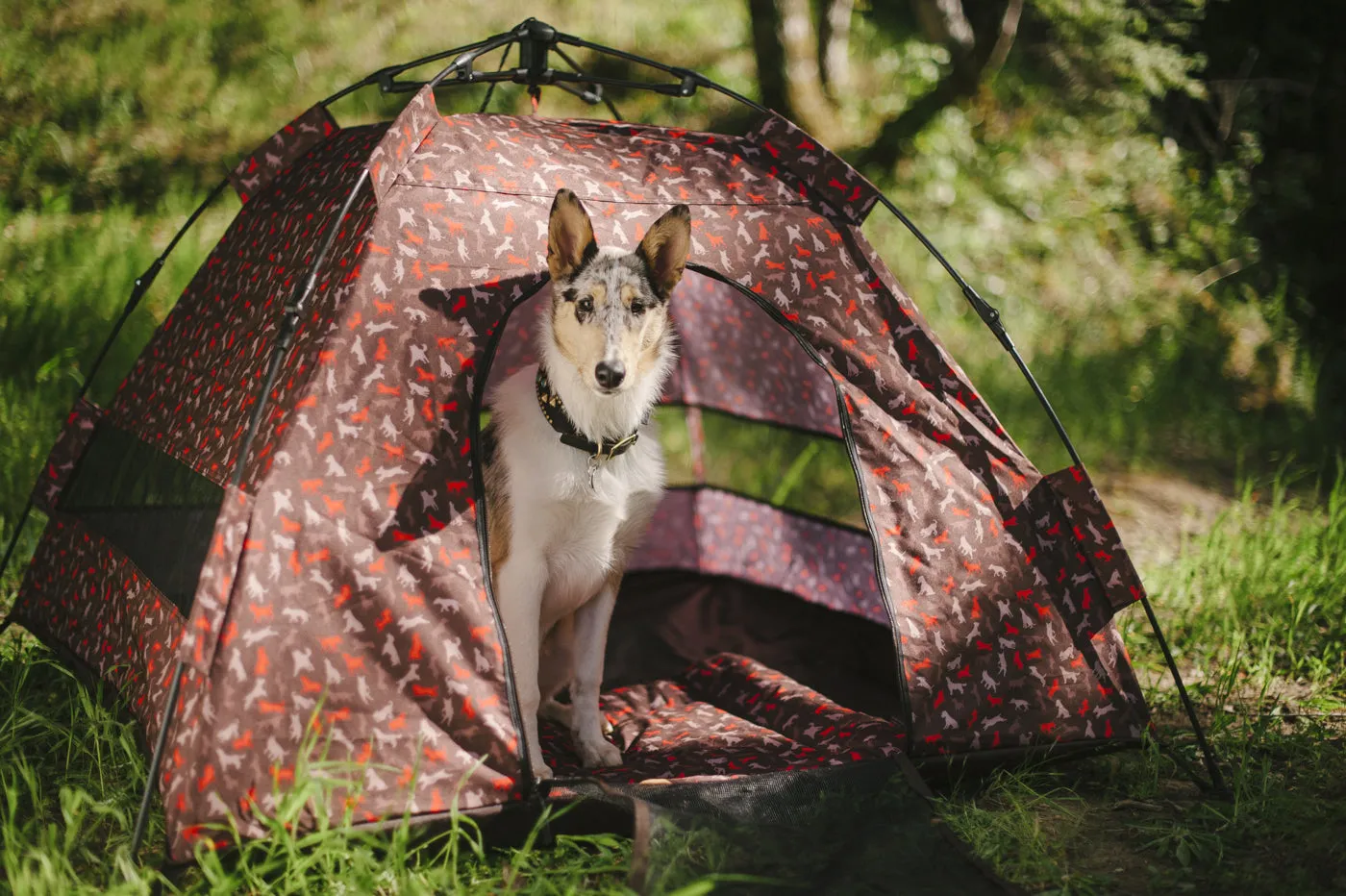 P.L.A.Y. Scout & About Outdoor Dog Tent hundtält Mocha