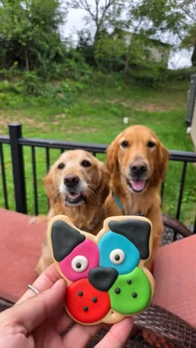 Spunky Pup Frosted Cookies hundkex pizza jordnötssmör