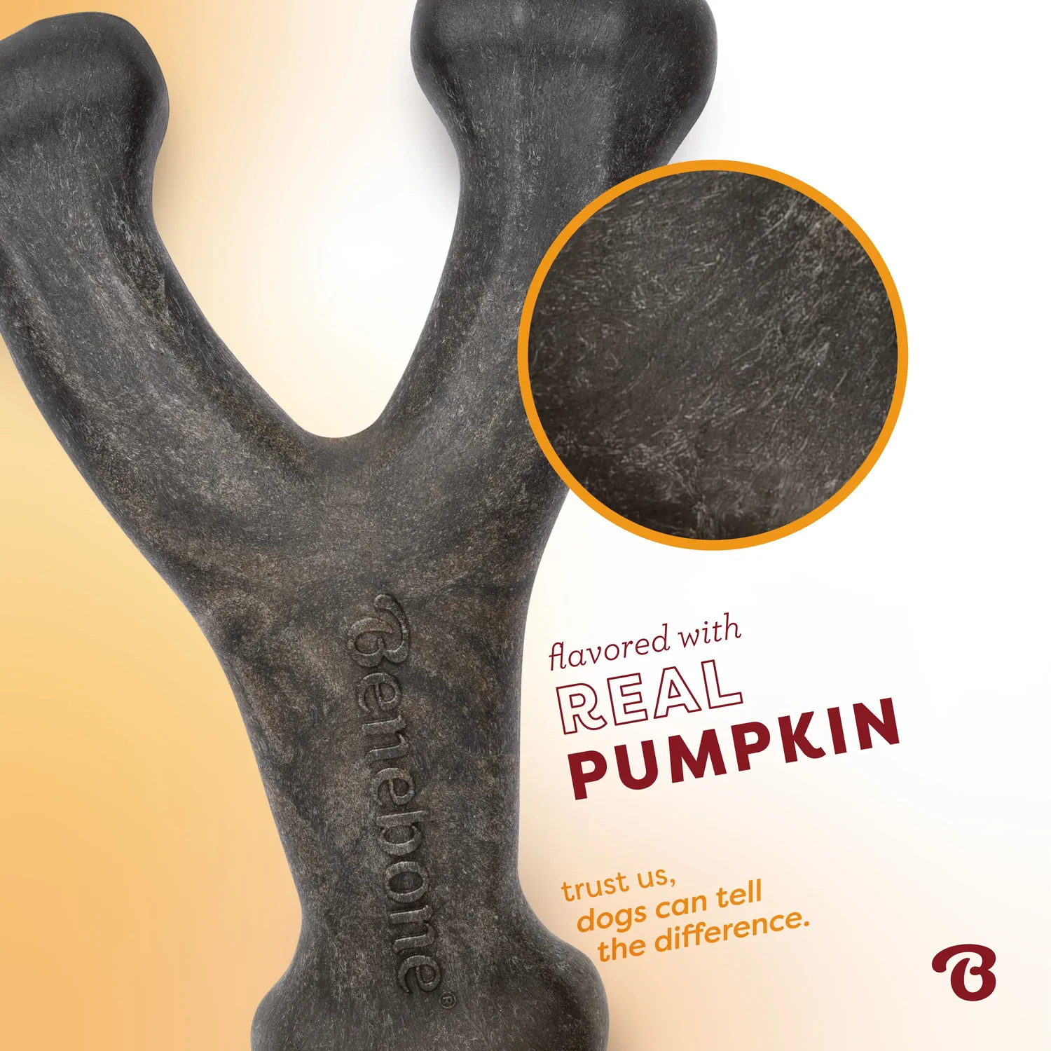 Benebone Pumpkin Spice Wishbone tuggben small pumpakrydda