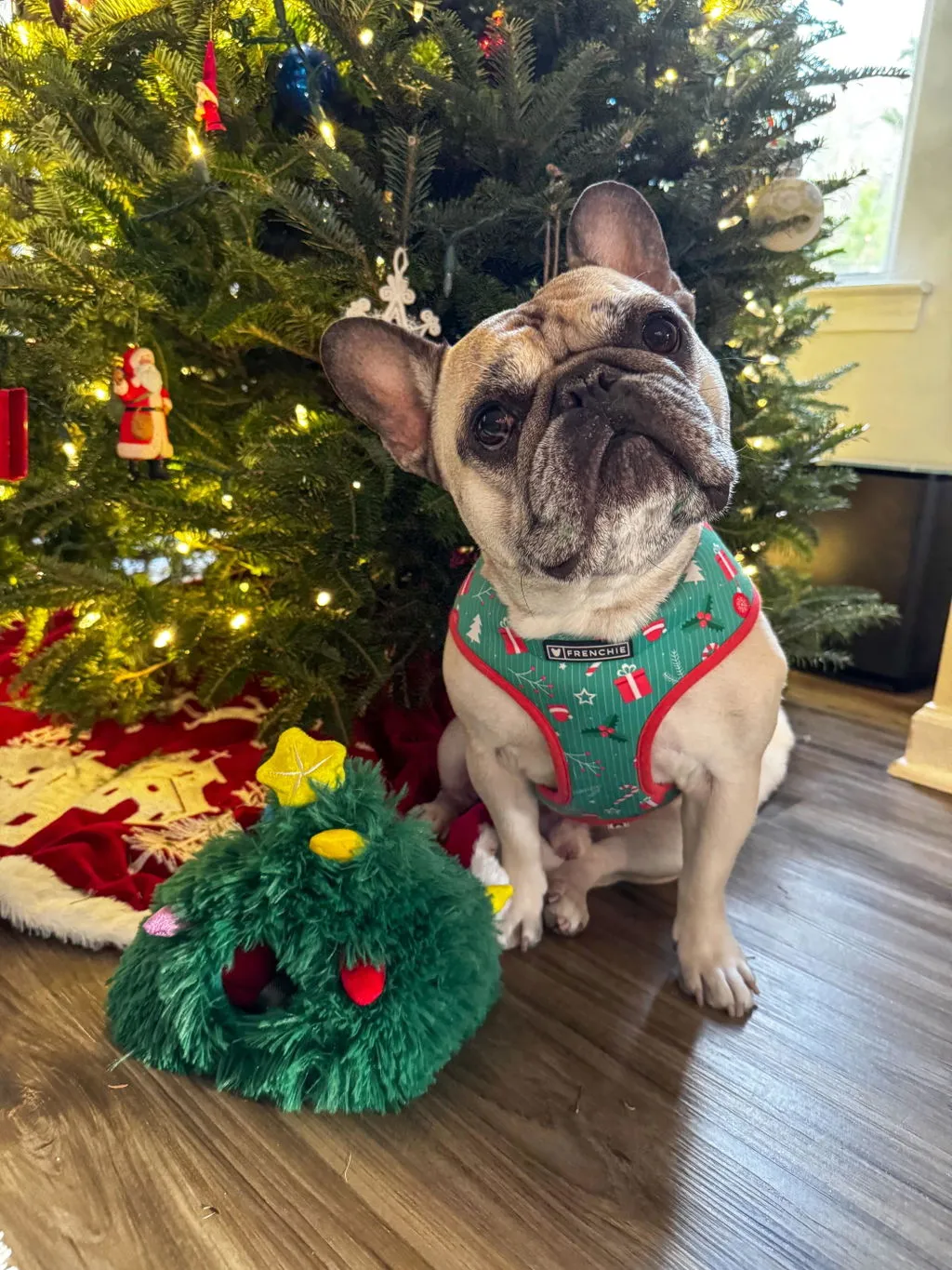 P.L.A.Y. Merry Woofmas Clumsy Claus hundleksak tomte med pip