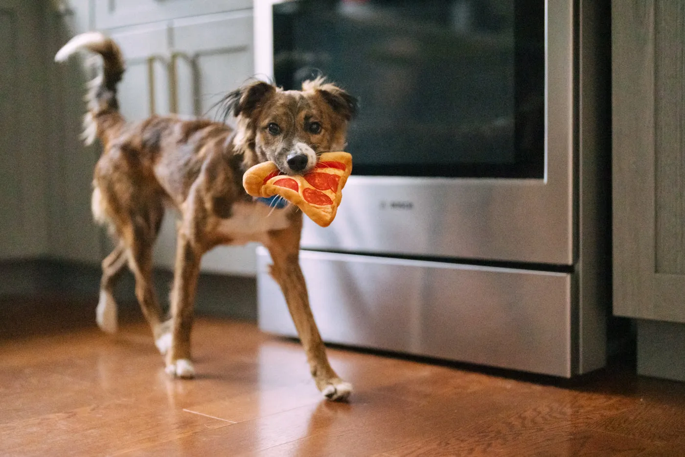 P.L.A.Y. Snack Attack Puppy-roni Pizza hundleksak M med rep