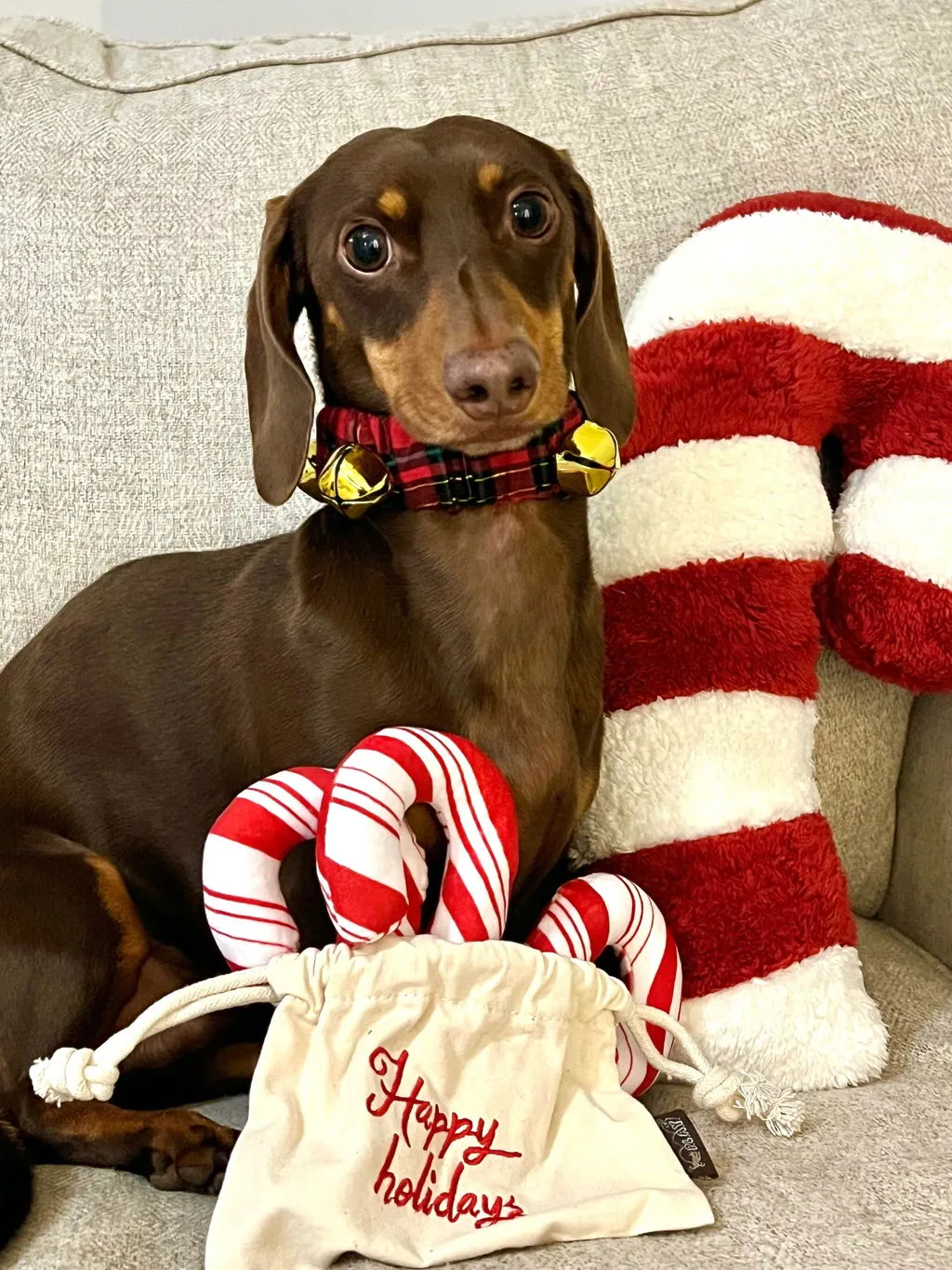 P.L.A.Y. Holiday Classic Cheerful Candy Canes hundleksak 3-pack pip