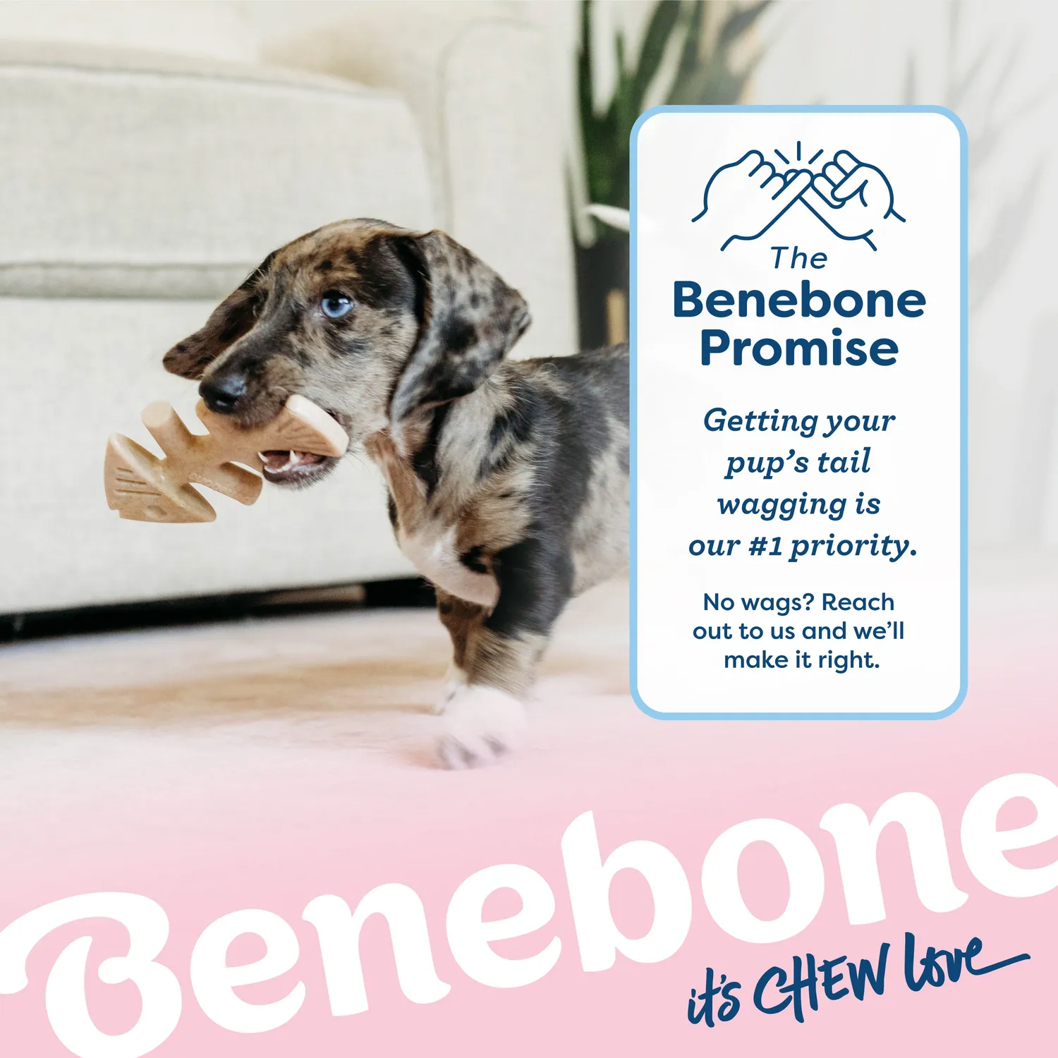 Benebone Puppy Fishbone tuggben tiny lax
