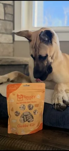 Spunky Pup Baked Biscuits hundkex prime rib 680 g naturliga