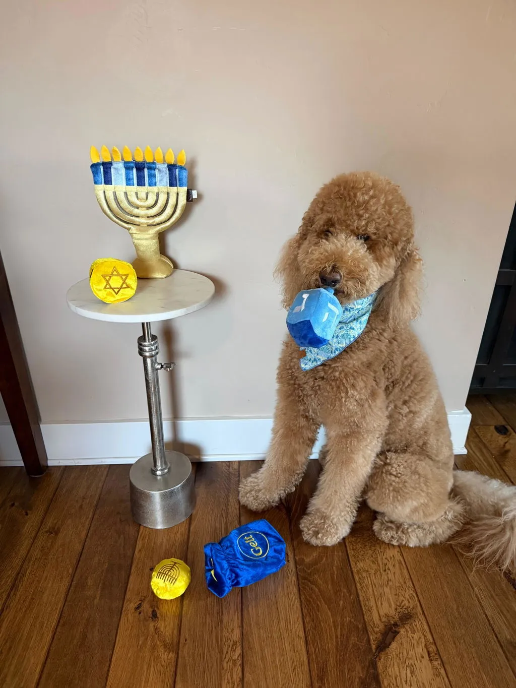 P.L.A.Y. Paw-nukkah Doggy Dreidel hundleksak pip