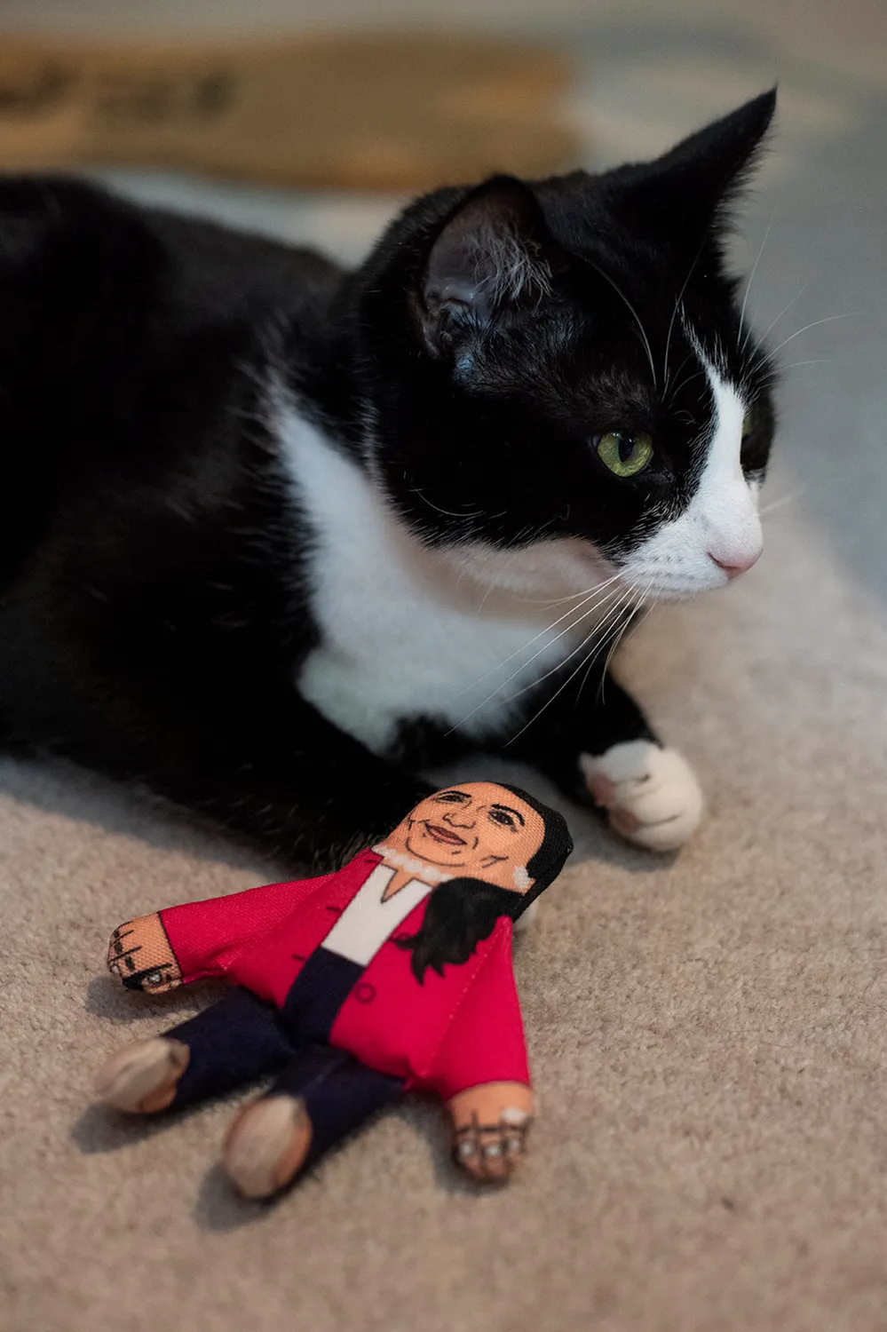 Pet Hates Toys Priti Pawtel kattleksak med kattmynta