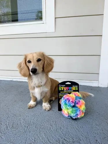 Spunky Pup Stuffies mjukisleksak Tangle Regular med godisfack