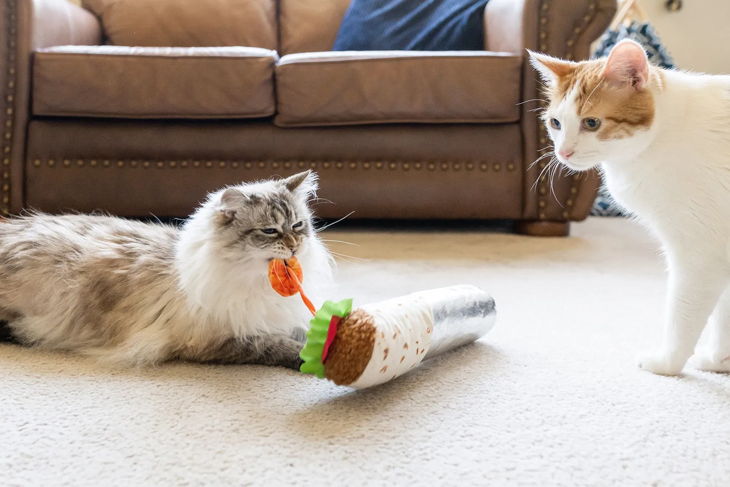 P.L.A.Y. Feline Frenzy Shrimp Purrito kattleksak kicker med kattmynta