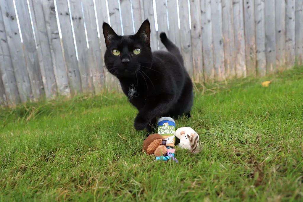 P.L.A.Y. Feline Frenzy Purrfectly Fungi kattleksak svamp