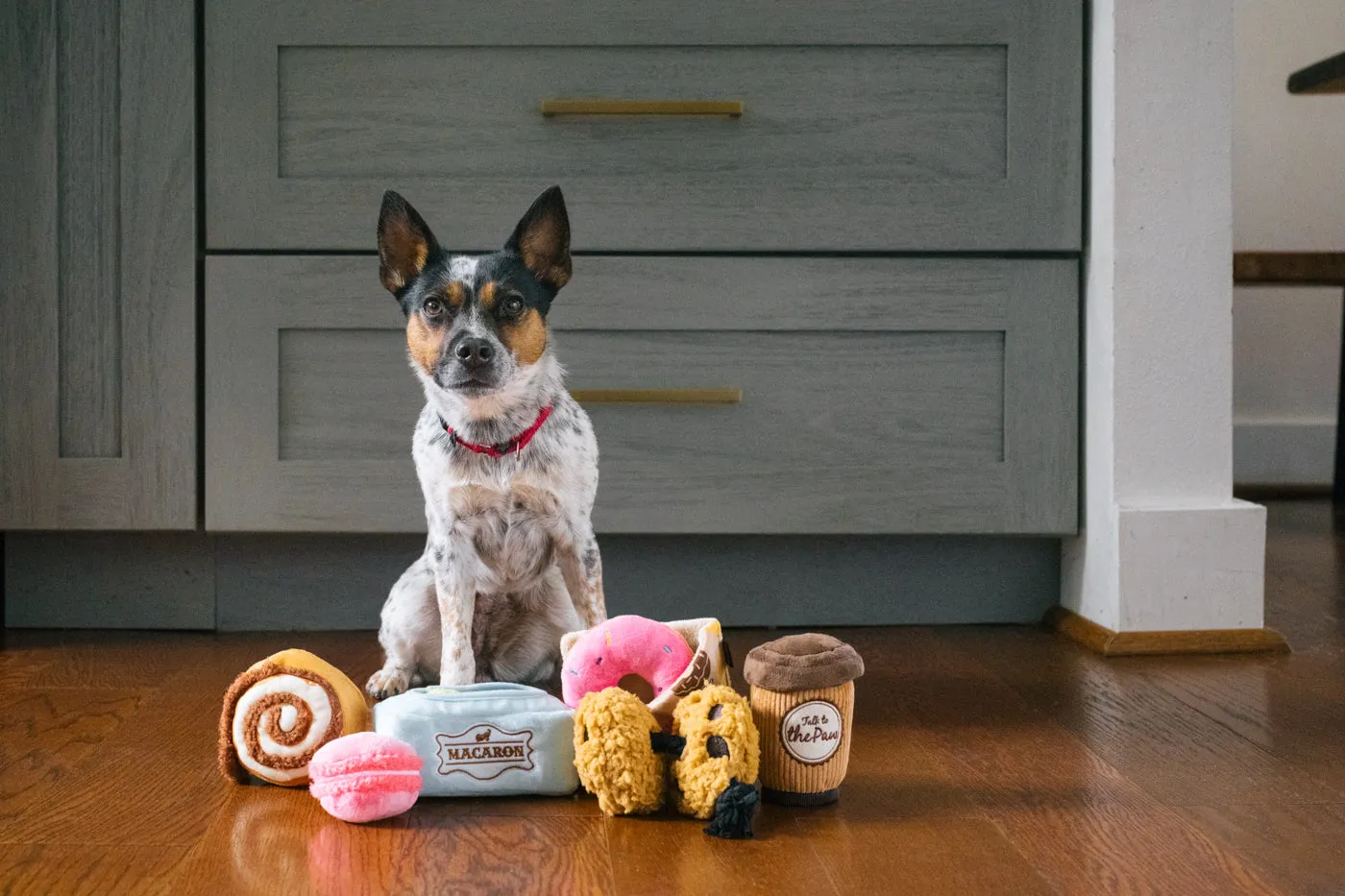 P.L.A.Y. Pup Cup Café Collection hundleksak set med pip