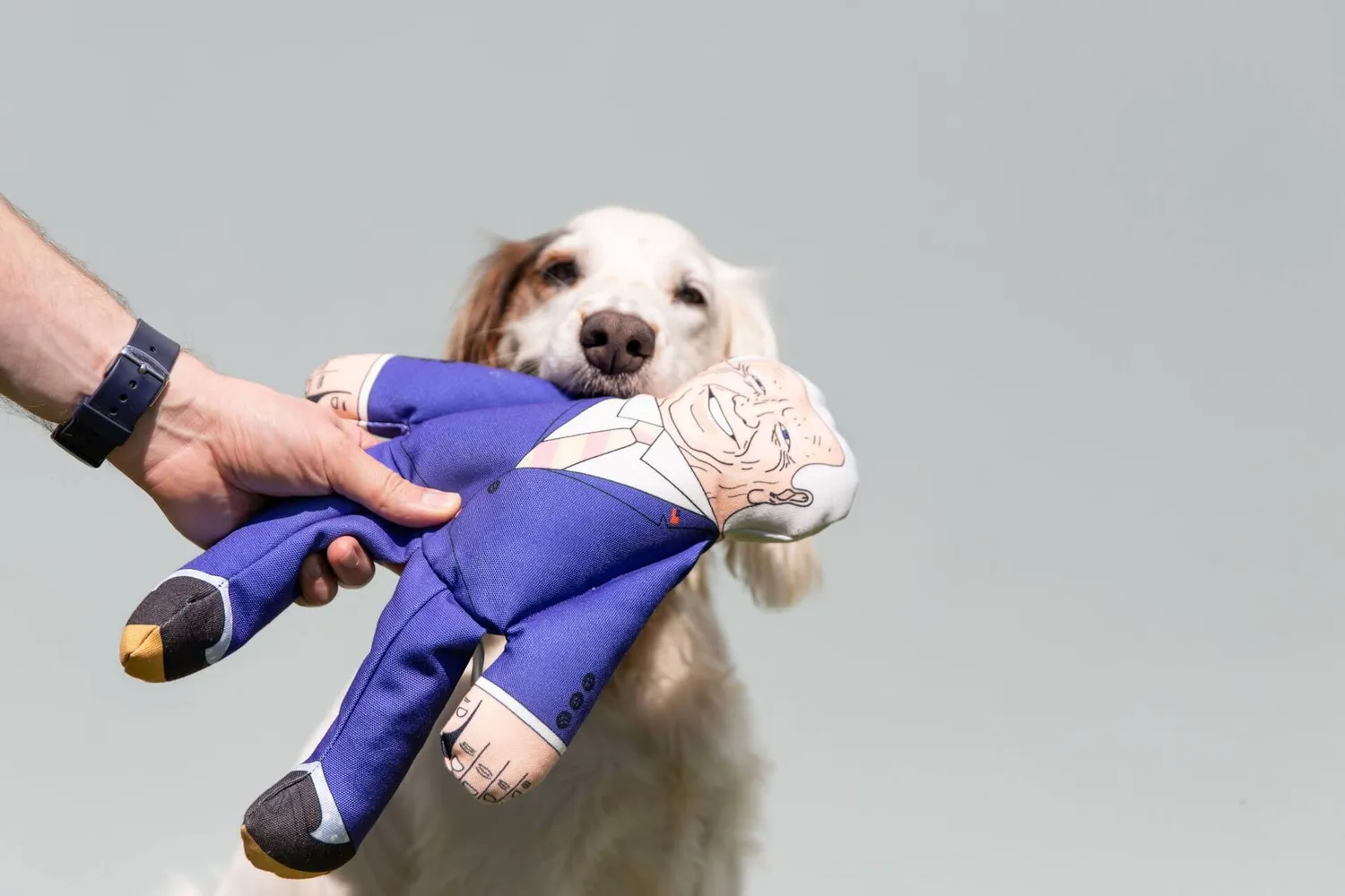 Pet Hates Toys Joe Biden hundleksak regular med pip